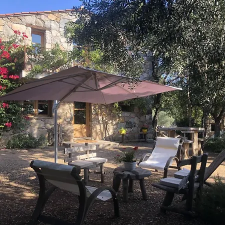 De Type Bergerie 3 Avec Piscine Villa *