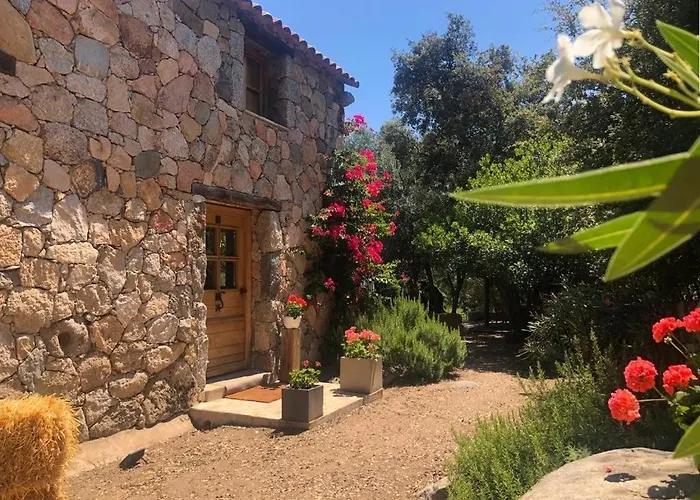 De Type Bergerie 3 Avec Piscine Sotta