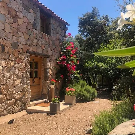 De Type Bergerie 3 Avec Piscine 소타