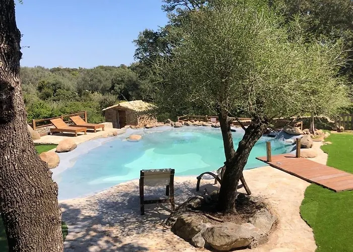 De Type Bergerie 3 Avec Piscine Villa